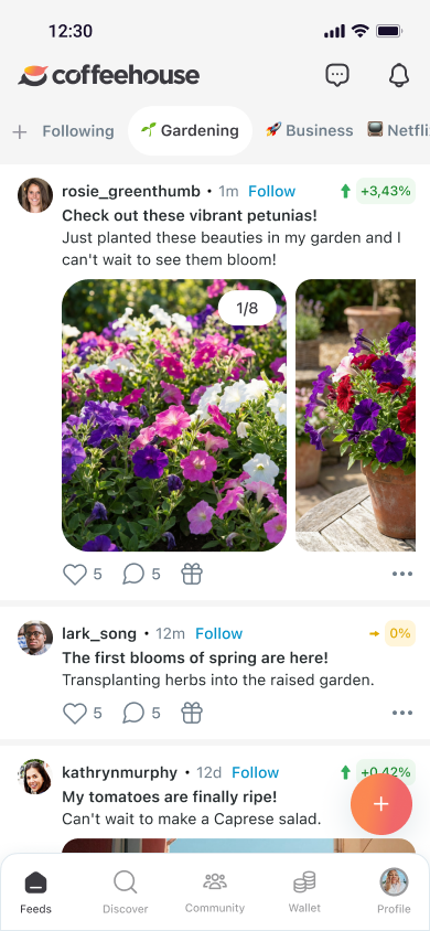 Discover Feed